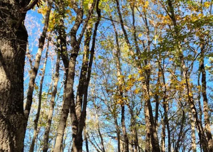 Abruzzo Favolosa Vista Monte Sirente Parco Sirente Velino Villa Castelvecchio Subequo